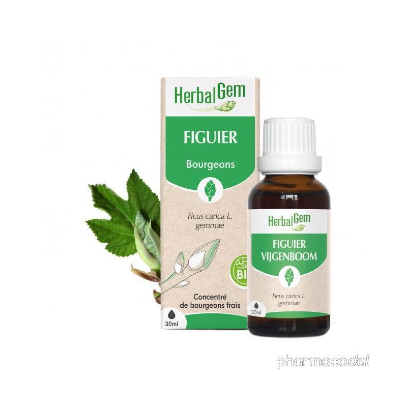 HERBALGEM FIGUIER BIO 30ML Pharmacie Pharmacodel, Pharmacie en Ligne