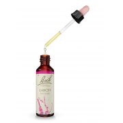 FLEUR BACH LARCH 30 ML DYNAROP