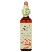 FLEUR BACH MIMULUS 30 ML DYNAROP