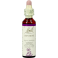 Bach Flower Remedie 18 Impatiens 20ml