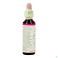 Bach Flower Remedie 29 Star Bethlehem 20ml