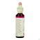 Bach Flower Remedie 29 Star Bethlehem 20ml