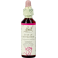 Bach Flower Remedie 29 Star Bethlehem 20ml