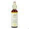Bach Flower Remedie 05 Cerato 20ml