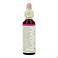 Bach Flower Remedie 10 Crab Apple 20ml