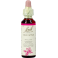 Bach Flower Remedie 10 Crab Apple 20ml