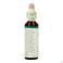 Bach Flower Remedie 15 Holly 20ml