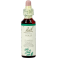 Bach Flower Remedie 15 Holly 20ml