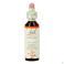 Bach Flower Remedie 20 Mimulus 20ml