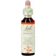 Bachflowers Bach Flower Remedie 20 Mimulus 20Ml
