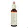 Bach Flower Remedie 20 Mimulus 20ml