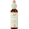 Bach Flower Remedie 20 Mimulus 20ml