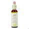 Bach Flower Remedie 35 White Chestnut 20ml