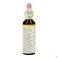 Bach Flower Remedie 35 White Chestnut 20ml
