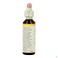 Bach Flower Remedie 12 Gentian 20ml