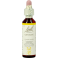 Bach Flower Remedie 12 Gentian 20ml