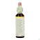 Bach Flower Remedie 17 Hornbeam 20ml