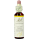Bach Flower Remedie 17 Hornbeam 20ml