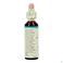 Bach Flower Remedie 27 Rock Water 20ml