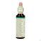 Bach Flower Remedie 04 Centaury 20ml