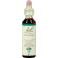 Bach Flower Remedie 04 Centaury 20ml