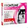 Frontline Protect Spot On Chien 40-60 kg 3 Pipettes