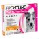 Frontline Protect Spot On Opl Hond 5-10Kg Pipet 3