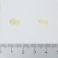 Will Pharma Tempocol 90 Capsules - Aspect 1