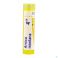Arnica Montana 4ch Gr 4g Boiron