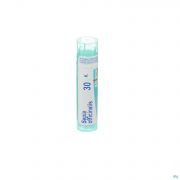 Sepia Officinalis 30K gr 4G Boiron - Detail 1
