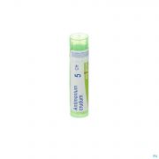 Antimonium Crudum 5Ch gr 4G Boiron - Detail 1