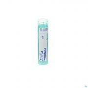 Arnica Montana Mk gr 4G Boiron - Detail 1