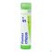 Rumex Crispus 5Ch gr 4G Boiron - Detail 2