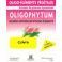 Holisitca Oligophytum Koper Tube Micro-Comp 3X100 Holistica