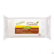 Rogé Cavaillès Roge Cavailles Lingettes Intimes Classic (15)