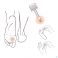 Pranarom Aromaderm Solution Pieds Huiles Essentielles 10 ml - Utilisation 1