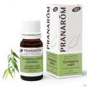 Eucalyptus Radiata Bio Hle Ess 10ml Pranarom
