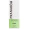 Carvi Ess Olie 10ml Pranarom