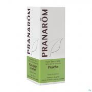 Canadese Hemlock Ess Olie Fl 5ml Pranarom
