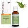 Pranarom Huile Essentielle D'eucalyptus Radiata Bio 30 ml - Utilisation 1