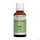 Gember Ess Olie 30Ml Pranarom - Product 1
