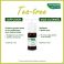 Phytosun Tea-tree Eco Nf 10ml