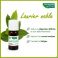 Phytosun Laurier Fr-Bio-01 5Ml - Gebruik 5
