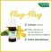 Phytosun Ylang-Ylang Eco 5Ml - Gebruik 4