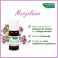 Phytosun Marjolein Fr-Bio-01 5Ml - Gebruik 4