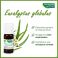Phytosun Euc. globulus Fr-Bio-01 10Ml - Gebruik 3