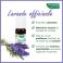 Phytosun Lavendel Off. Fr-Bio-01 10Ml - Gebruik 6