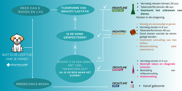 Hoe kies je het beste vlooienbestrijdingsmiddel voor je hond: Beslisboom